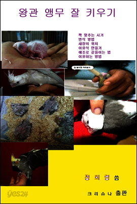왕관 앵무 잘 키우기
