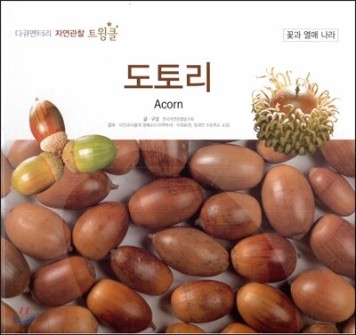 다큐멘터리 자연관찰 트윙클 꽃과 열매 나라 27 도토리