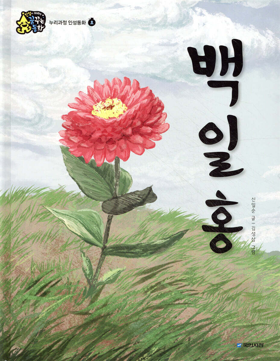 백일홍