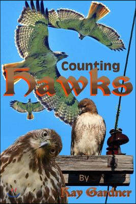 counting hawks