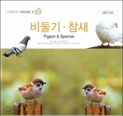 다큐멘터리 자연관찰 트윙클 새의 나라 56 비둘기·참새