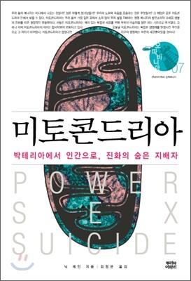미토콘드리아