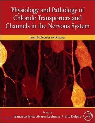 Physiology and Pathology of Chloride Transporters and Channels in the Nervous System: From Molecules to Diseases