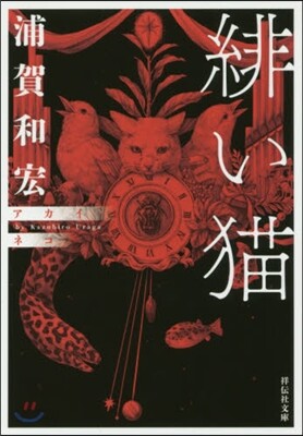 緋い猫