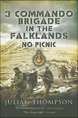 3 Commando Brigade in the Falklands: No Picnic