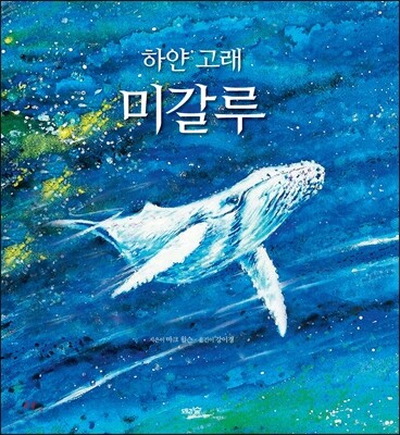 하얀 고래 미갈루