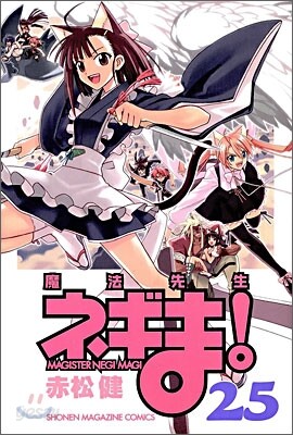 魔法先生ネギま! 25