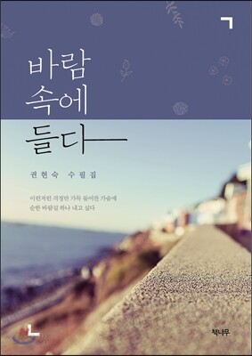 바람 속에 들다
