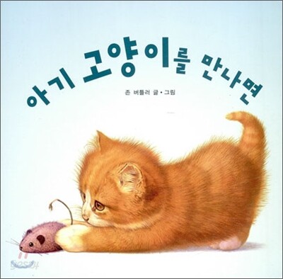 아기 고양이를 만나면