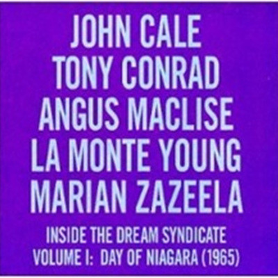 Day Of Niagara: Inside The Dream Syndicate Vol.I