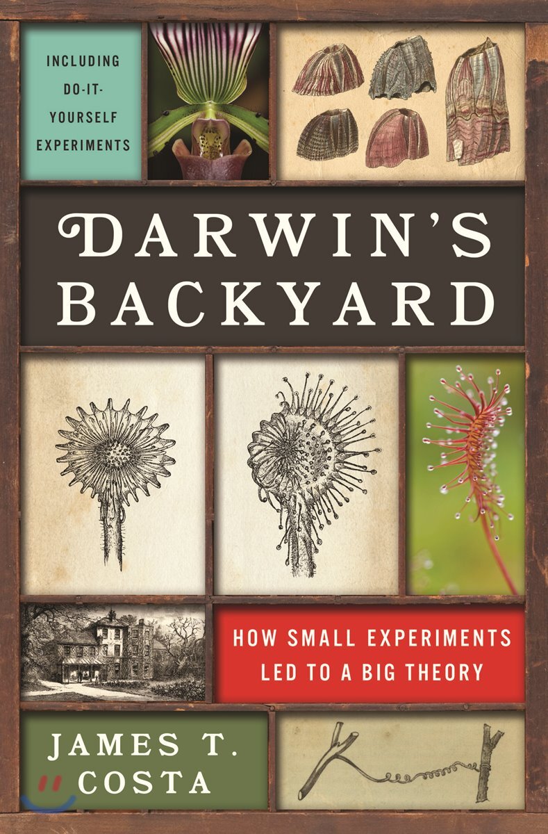 Darwin's Backyard: How Small Experiments Led to a Big Theory