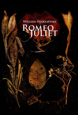 로미오와 줄리엣 (Romeo und Julia) 독일어 문학 시리즈 036