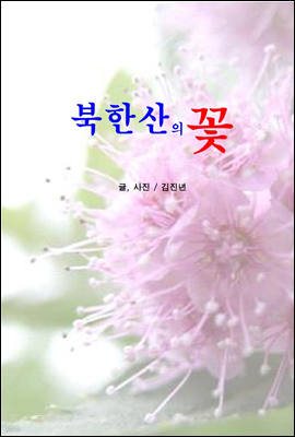 책 정보