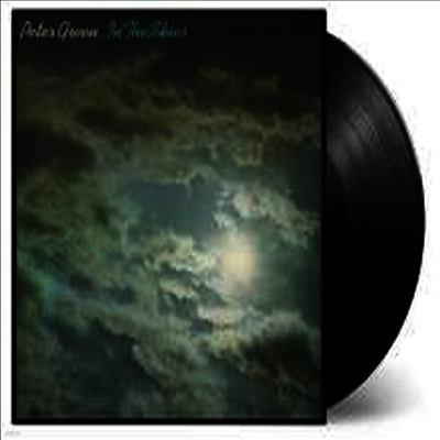 Peter Green — In The Skies (Gatefold) 앨범 커버