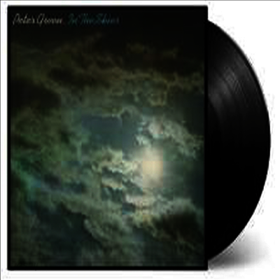 Peter Green - In The Skies (Gatefold)(180G)(LP)