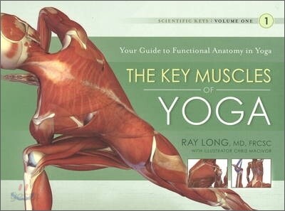 Key Muscles of Yoga: Your Guide to Functional Anatomy in Yoga