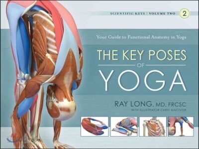 The Key Poses of Yoga