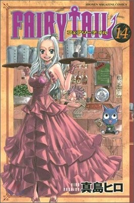 FAIRY TAIL 14