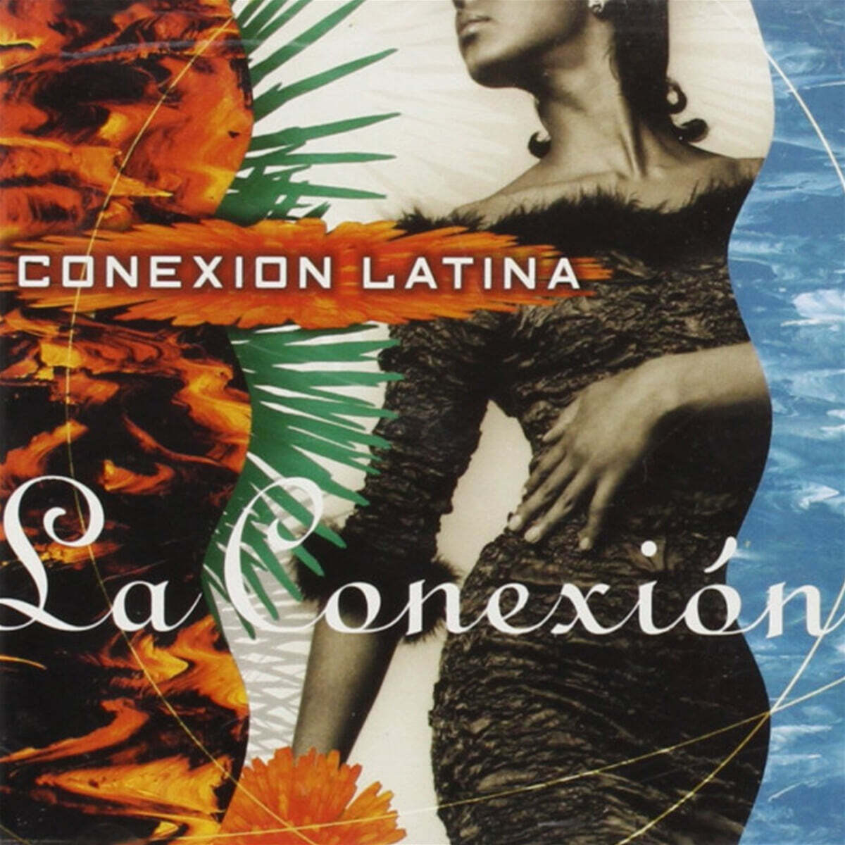Conexion Latina (코네숑 라티나) - La Conexion