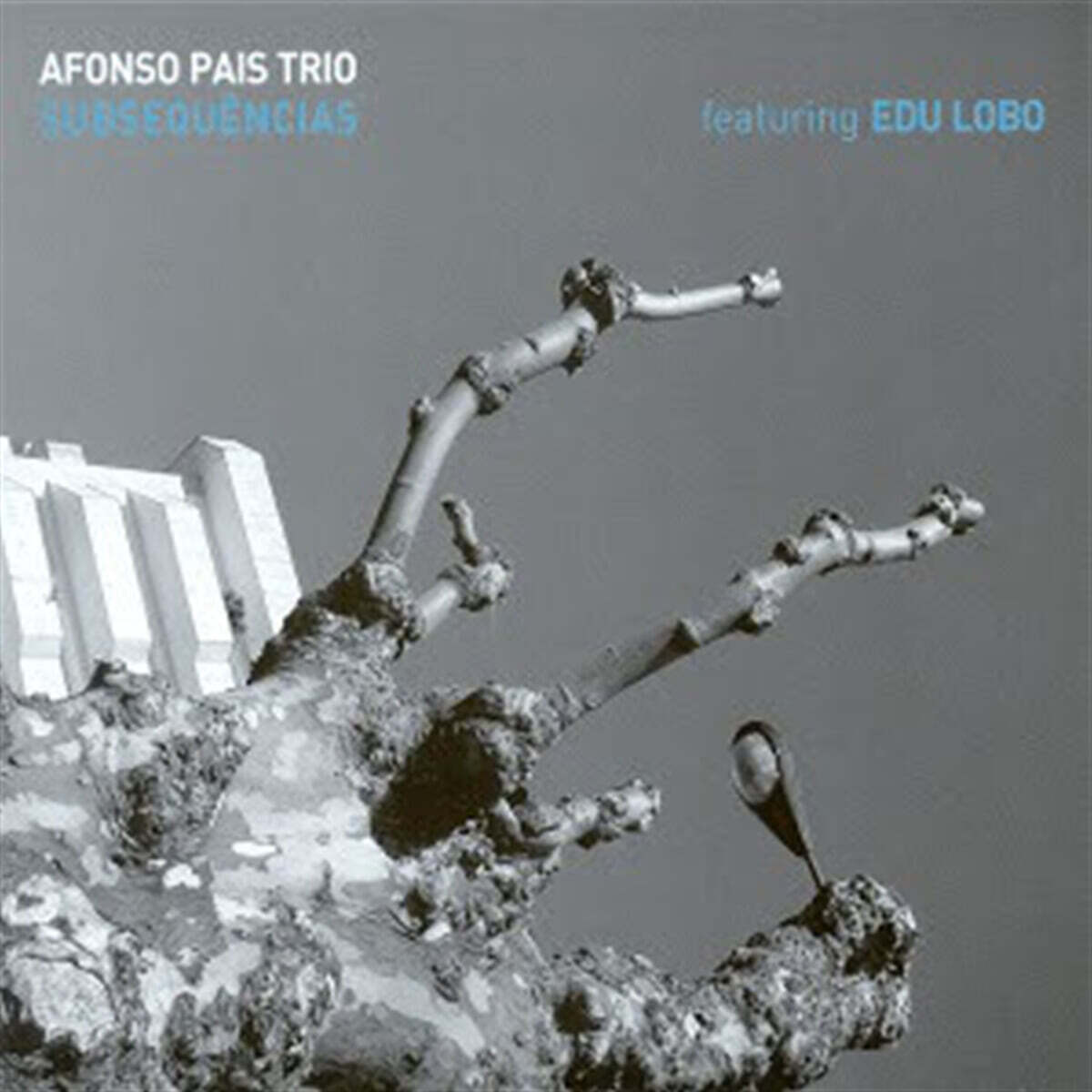 Afonso Pais Trio (아폰소 파이즈 트리오) - Subsequencias