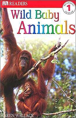 DK Readers Beginning 1 : Wild Baby Animals (Book & CD Set)