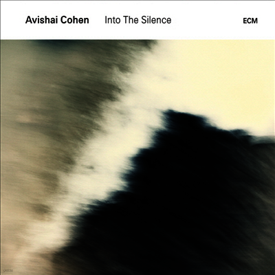 Avishai Cohen — Into The Silence 앨범 커버