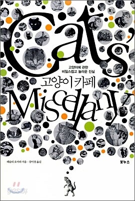 고양이 카페