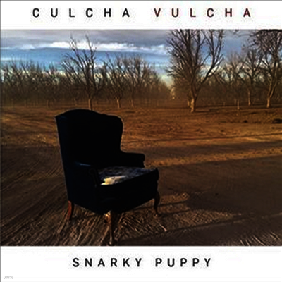 Snarky Puppy — Culcha Vulcha 앨범 커버