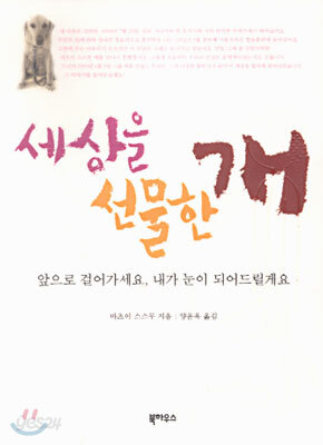 세상을 선물한 개