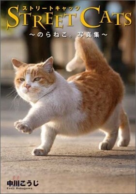 STREET CATS のらねこ。寫眞集