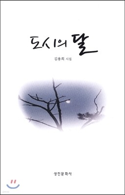 도시의 달