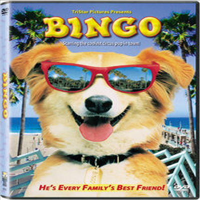 Bingo ()(ڵ1)(ѱ۹ڸ)(DVD)