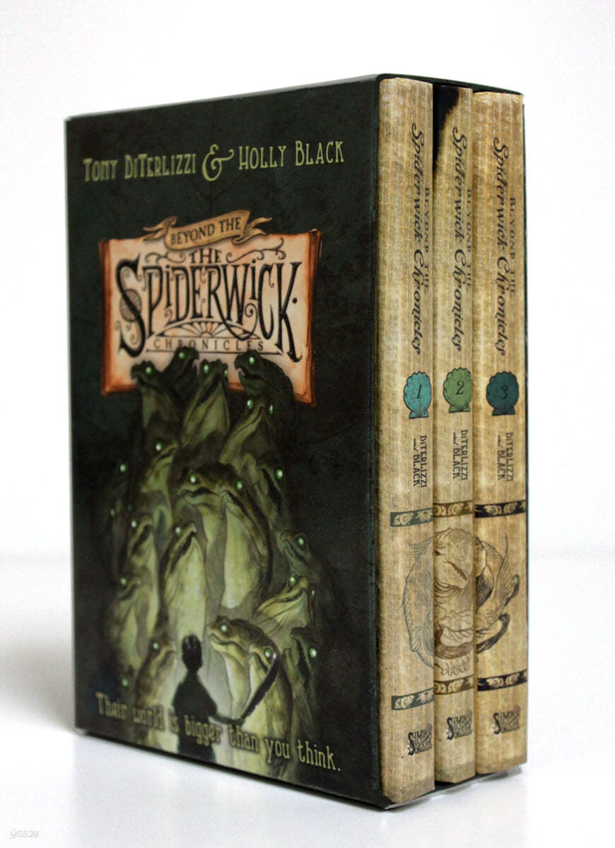 Beyond the Spiderwick Chronicles Boxed Set: The Nixie's Song/A Giant Problem/The Wyrm King