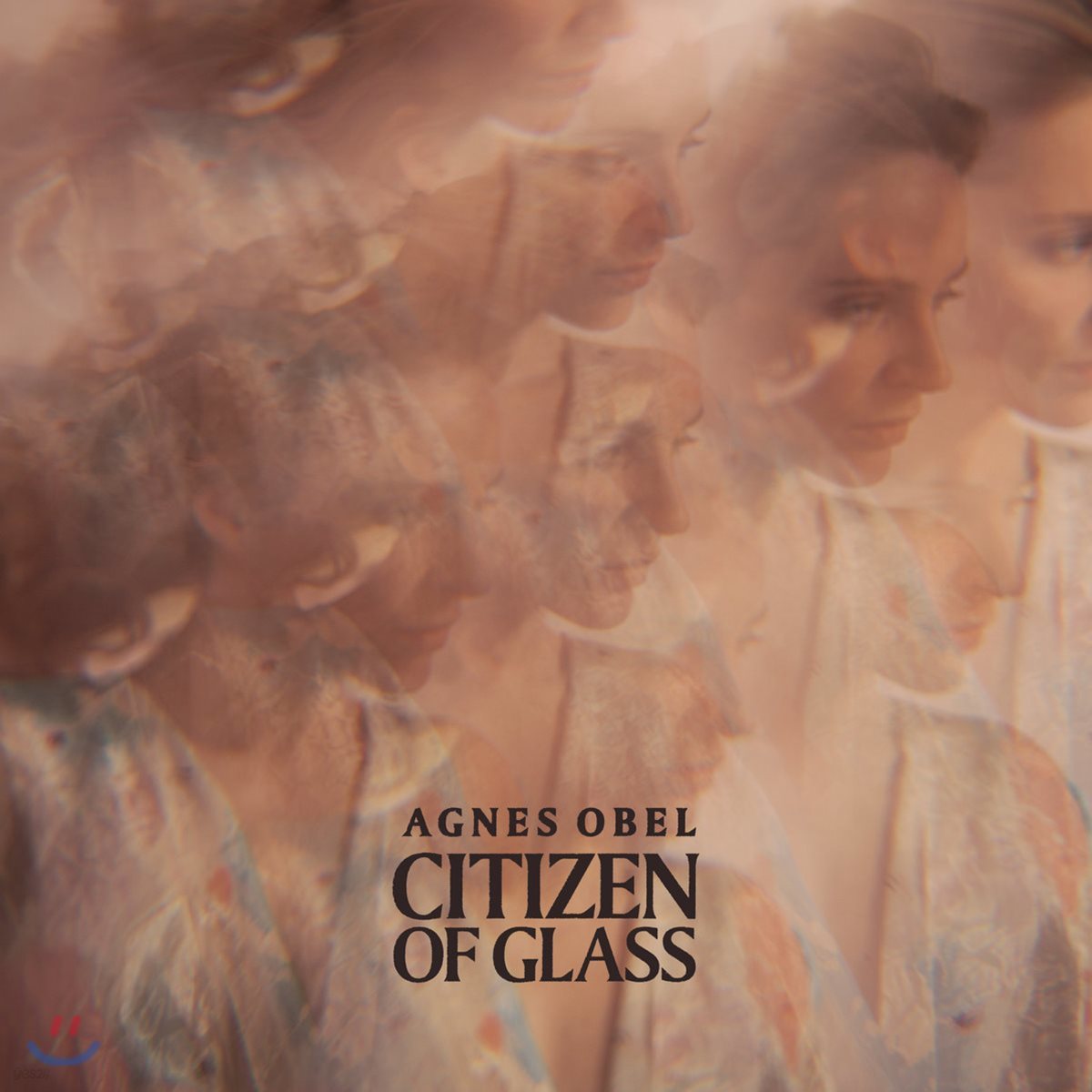 Agnes Obel (아그네스 오벨) - 3집 Citizen of Glass [LP]