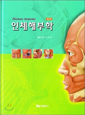 인체해부학