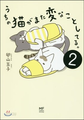 うちの猫がまた變なことしてる。   2