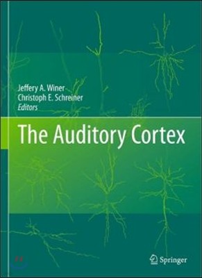 The Auditory Cortex