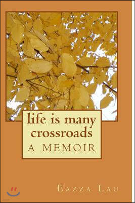 life is many crossroads