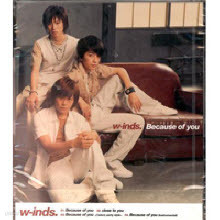 w-inds.() - Because Of You (/single/pcca70013)