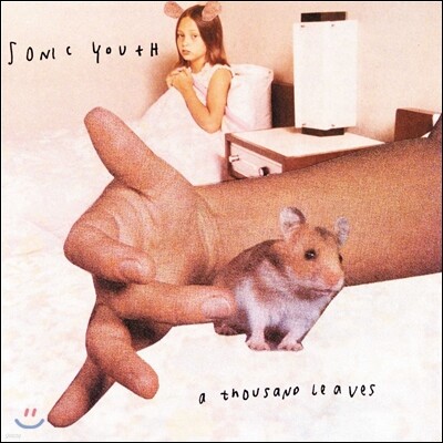 Sonic Youth — A Thousand Leaves 앨범 커버