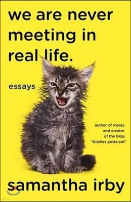 We Are Never Meeting in Real Life.: Essays