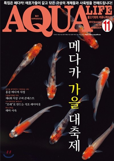 아쿠아 라이프 AQUA LIFE (월간) : 11월 [2016]