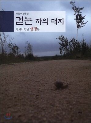걷는자의 대지