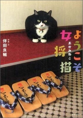 ようこそ女將猫
