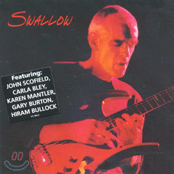 Steve Swallow - Swallow
