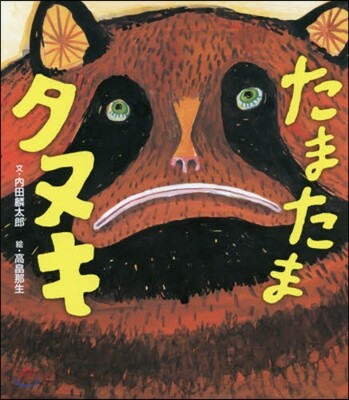 たまたまタヌキ