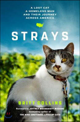 Strays