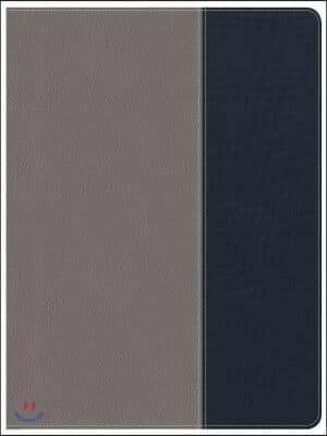 CSB Apologetics Study Bible for Students, Gray/Navy Leathertouch, Indexed: Black Letter, Teens, Study Notes and Commentary, Ribbon Marker, Sewn Bindin
