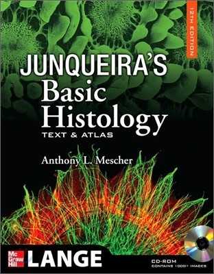 Junqueira's Basic Histology : Text and Atlas