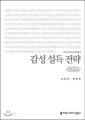 감성 설득 전략 큰글씨책